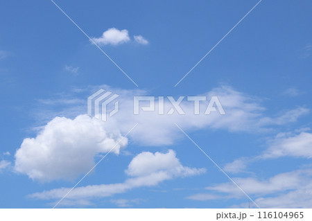 夏の青空と白い雲 夏の青空と白い雲 116104965