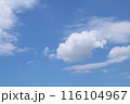 夏の青空と白い雲 116104967