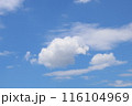 夏の青空と白い雲 116104969