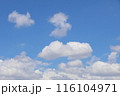 夏の青空と白い雲 116104971