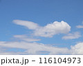 夏の青空と白い雲 116104973