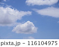 夏の青空と白い雲 116104975