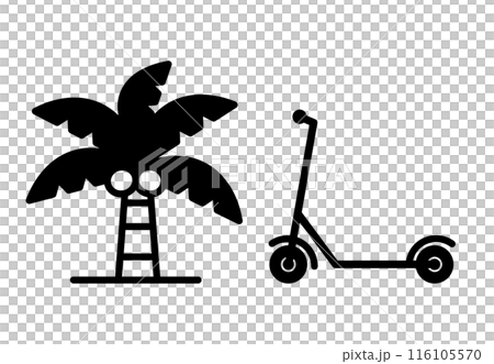 Kickboard palm tree icon Kickboard palm tree icon 116105570