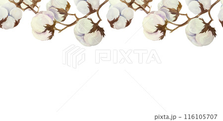 Cotton seamless border, horizontal. Hand drawn watercolor illustration isolated on white background. For greeting cards, invitations, textile labels, banners, covers, bed linen design element. 116105707