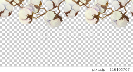 Cotton seamless border, horizontal. Hand drawn watercolor illustration isolated on white background. For greeting cards, invitations, textile labels, banners, covers, bed linen design element. 116105707