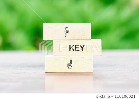 The text KEY on wooden blocks on a table against a background of green plants out of focus 116106021