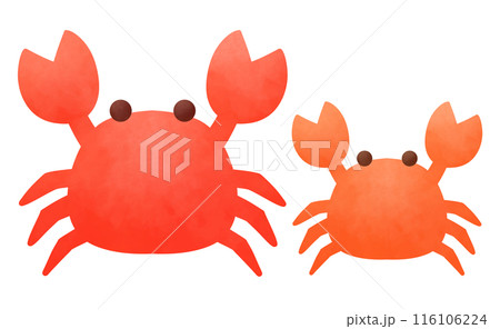 赤いカニの親子のイラスト 116106224
