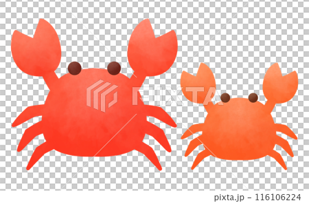 赤いカニの親子のイラスト 116106224