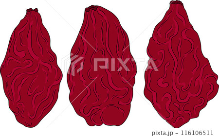 Hand drawn Goji berries. Colored vector Superfood berry element Hand drawn Goji berries. Colored vector Superfood berry element 116106511