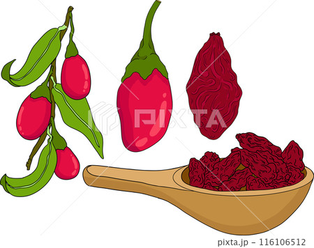 Hand drawn Goji berries. Colored vector Superfood berry element  116106512