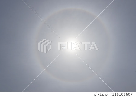 太陽に照らされるハロ 116106607
