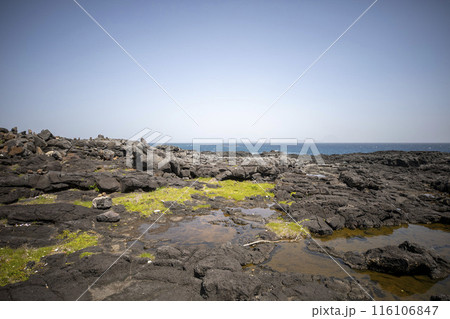 This is the beautiful scenery of Marado Island, located at the southernmost tip of South Korea. 116106847