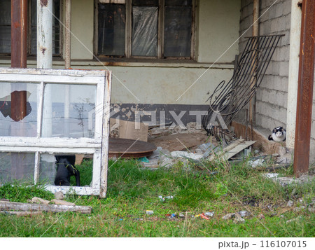 An old broken window among the debris. Construction rubbish. Dump. Place of repair. An old broken window among the debris. Construction rubbish. Dump. Place of repair. 116107015