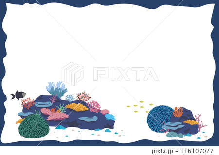 サンゴ礁のフレーム	 116107027