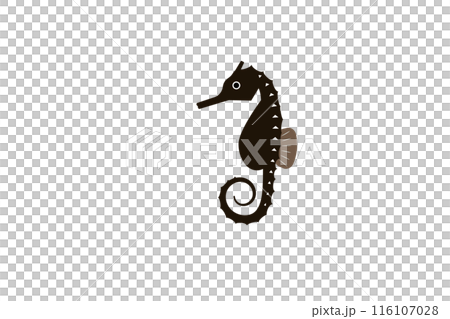 Seahorse 116107028