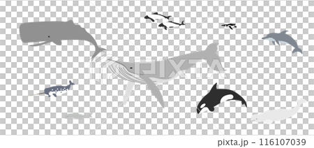 Whale Set 116107039