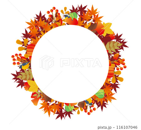 秋の紅葉 116107046