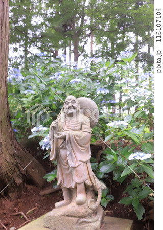 アジサイ寺、市原市 116107104