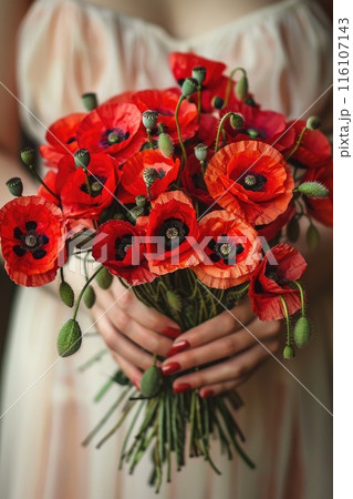 Vivid red poppies held in tender woman hands Vivid red poppies held in tender woman hands 116107143
