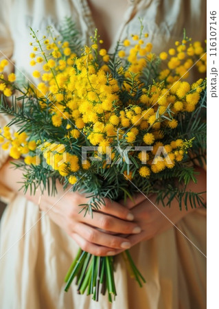 Gentle hands envelop a bright bouquet of mimosa flowers Gentle hands envelop a bright bouquet of mimosa flowers 116107146
