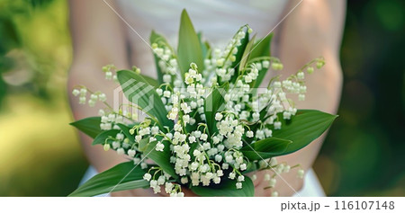 a bouquet of lilies of the valley cradled in gentle woman hands a bouquet of lilies of the valley cradled in gentle woman hands 116107148