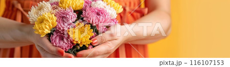 A woman hands gently hold a vibrant bouquet of chrysanthemums 116107153