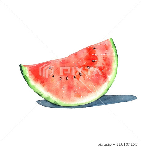 A slice of watermelon is lovingly detailed in watercolor 116107155