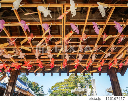 風が吹き物事が良い方向に回る白鳥神社の風車(香川県東かがわ市) 風が吹き物事が良い方向に回る白鳥神社の風車(香川県東かがわ市) 116107457