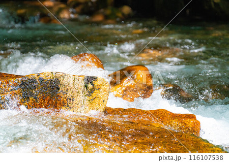 【渓流素材】水しぶき　沢　渓流【長野県】 116107538