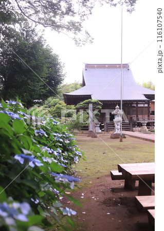 アジサイ寺、市原市 116107540