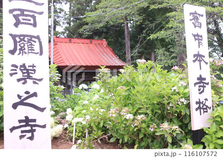 アジサイ寺、市原市 アジサイ寺、市原市 116107572