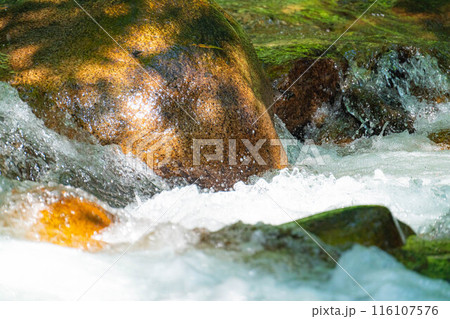 【渓流素材】水しぶき 沢 渓流【長野県】 【渓流素材】水しぶき 沢 渓流【長野県】 116107576
