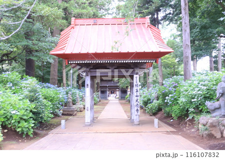 アジサイ寺、市原市 116107832