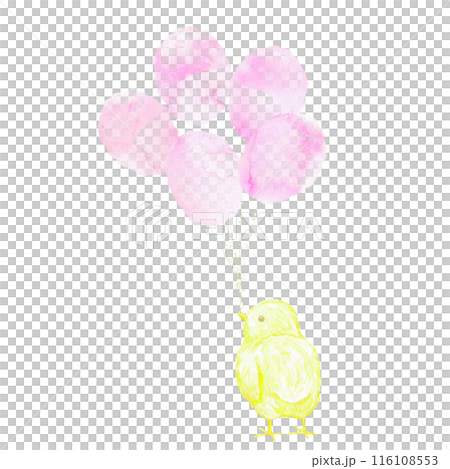 一個快樂可愛的小雞的圖標，嘴裡叼著一堆粉紅色的氣球。水彩插圖。 116108553