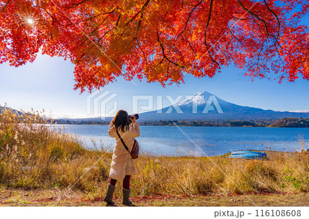 【富士山素材】秋の河口湖から見る冠雪した富士山と紅葉【山梨県】 116108608