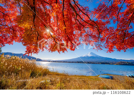 【富士山素材】秋の河口湖から見る冠雪した富士山と紅葉【山梨県】 【富士山素材】秋の河口湖から見る冠雪した富士山と紅葉【山梨県】 116108622