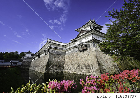 ツツジが見頃の金沢城公園の春 116108737