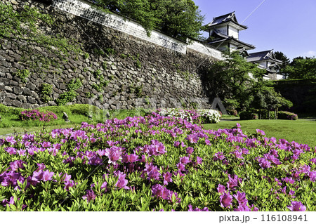 ツツジが見頃の金沢城公園の春 116108941