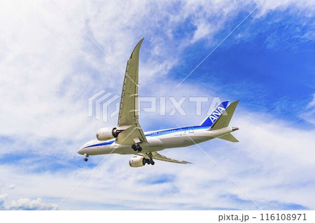 夏の大阪空港（伊丹空港）　着陸中の飛行機　大阪府豊中市 116108971