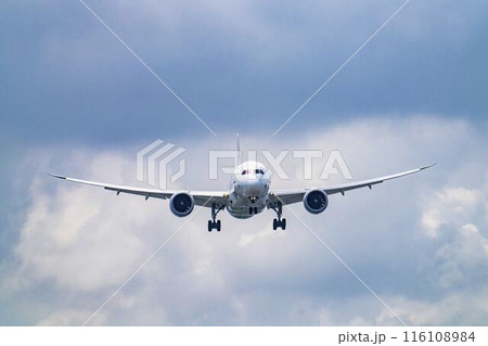 夏の大阪空港（伊丹空港）　着陸中の飛行機　大阪府豊中市 116108984