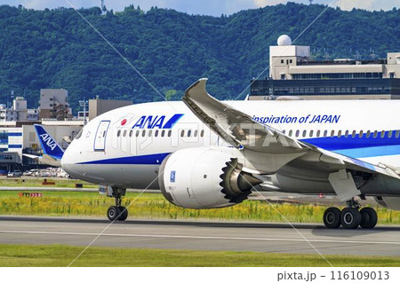 夏の大阪空港(伊丹空港) 離陸中の飛行機 大阪府豊中市 夏の大阪空港(伊丹空港) 離陸中の飛行機 大阪府豊中市 116109013