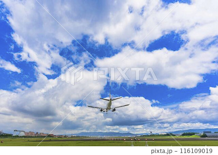 夏の大阪空港（伊丹空港）　着陸中の飛行機　大阪府豊中市 116109019