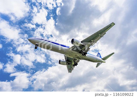 夏の大阪空港（伊丹空港）　着陸中の飛行機　大阪府豊中市 116109022