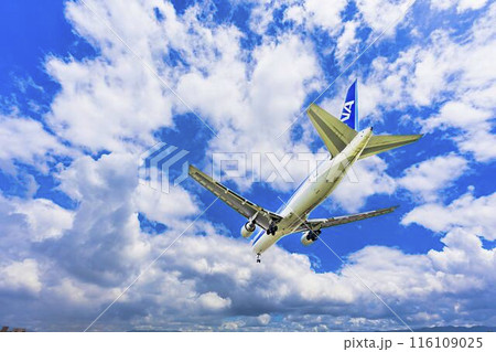 夏の大阪空港（伊丹空港）　着陸中の飛行機　大阪府豊中市 116109025