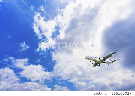 夏の大阪空港（伊丹空港）　着陸中の飛行機　大阪府豊中市 116109027