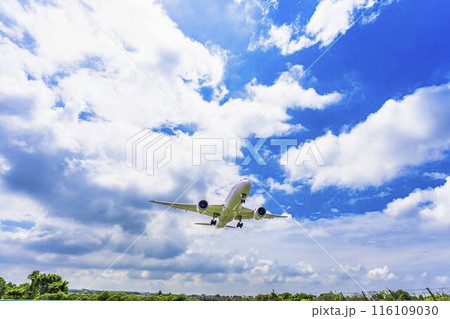 夏の大阪空港（伊丹空港）　着陸中の飛行機　大阪府豊中市 116109030