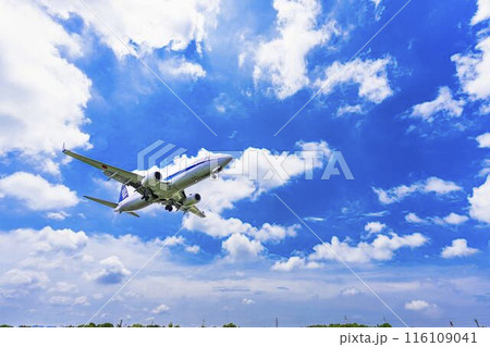 夏の大阪空港（伊丹空港）　着陸中の飛行機　大阪府豊中市 116109041