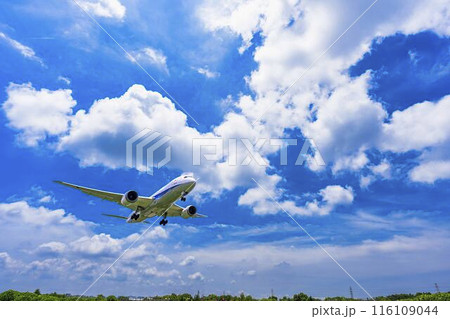 夏の大阪空港(伊丹空港) 着陸中の飛行機 大阪府豊中市 夏の大阪空港(伊丹空港) 着陸中の飛行機 大阪府豊中市 116109044