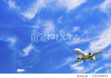 夏の大阪空港（伊丹空港）　着陸中の飛行機　大阪府豊中市 116109047