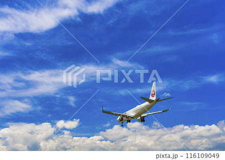 夏の大阪空港（伊丹空港）　着陸中の飛行機　大阪府豊中市 116109049